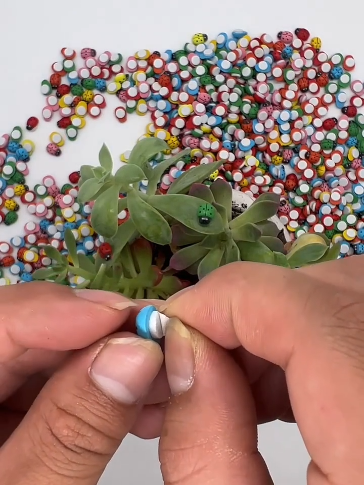 Αυτοκόλλητο Laydbug